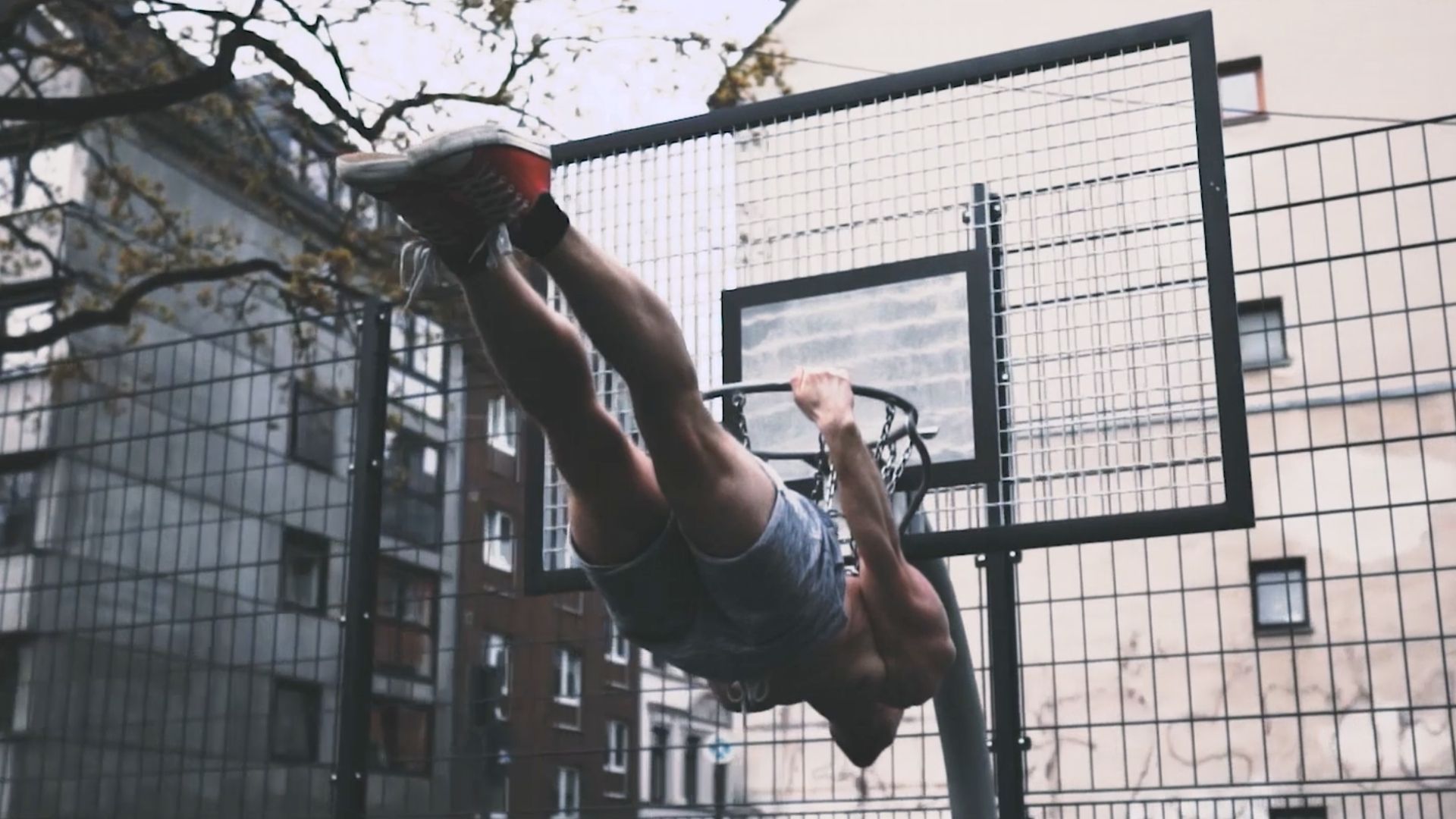 04 Calisthenics Coaching - Backlever ©Coach Zimo