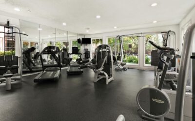 Personal Trainer vs Fitnessstudio – was ist wirklich effektiver?